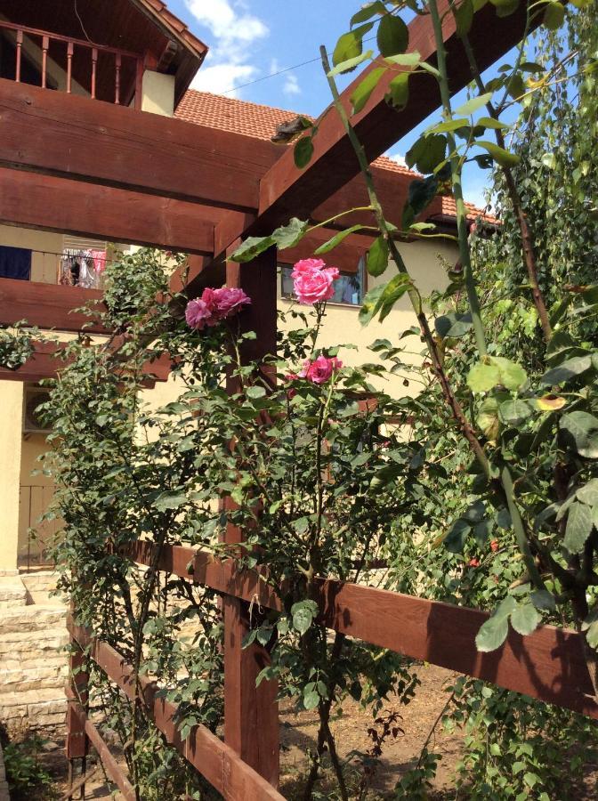 Villa Rosa Năvodari Екстериор снимка