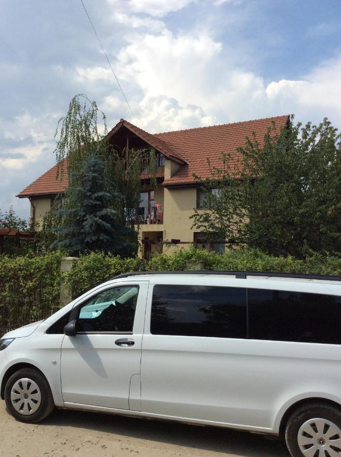 Villa Rosa Năvodari Екстериор снимка